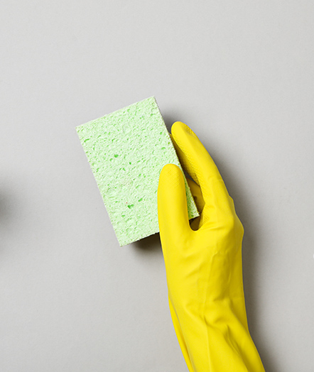 Pure&clean Team in Essen