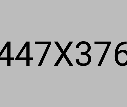 Feinreinigung Detailbild