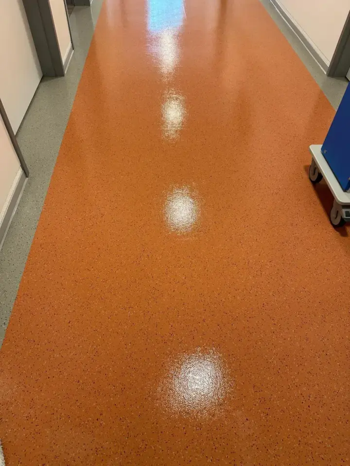 Sauberer orangefarbener Flurboden nach der Bodenreinigung